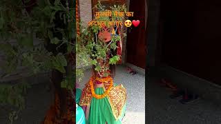 ytshort viralshorts trendingdev uthni ekadshitulsi vivah [upl. by Mckinney646]