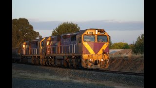 SSRs Deniliquin Grain  N466 and N455 [upl. by Katonah913]