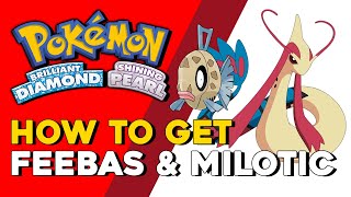 Pokemon Brilliant Diamond amp Shining Pearl How To Get Feebas amp Milotic How To Evolve Feebas BDSP [upl. by Libys]