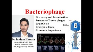 Bacteriophage Discovery Structure Life Cycle Lytic Cycle Lysogenic Economic importance [upl. by Enilram]