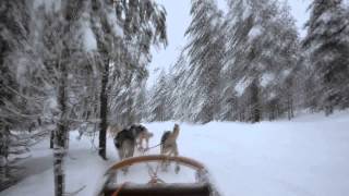 HUSKY PARK ROVANIEMI [upl. by Elnar]