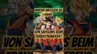 WARUM Wachsen die Haare von Saiyajins beim TransformierenSleepyPharao dragonball dbz goku anime [upl. by Araht]