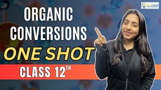 All ORGANIC CONVERSIONS of NCERT Class 12 ONESHOT  Boards  NEET neet cbse cbseboard neet2024 [upl. by Theresina529]