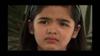 ANNALIZA January 27 2014 Teaser [upl. by Tonye]