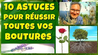 10 astuces pour réussir toutes vos boutures [upl. by Lesly]