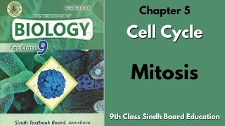 Mitosis  Chapter 5  Cells Cycle  9th class Sindh Board [upl. by Eldredge]