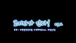 Ep2 코기자가 간다 🏃보령발전본부를 소개하라 feat 주말농장 [upl. by Romona]