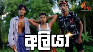 අලියා  ALIYA  KDJ PRODUCTIONS  kdjdiaries [upl. by Jenkins]