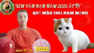 Xem Sao Hạn Quý Mão 1963 Nam Mạng Năm 2025 Ất Tỵ Những Điều Cần Lưu Ý [upl. by Trinatte]