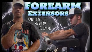 Don’t Neglect Your Forearm Extensors Very Important [upl. by Annuaerb762]