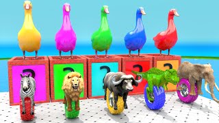 5 Giant Duck Cartoon Elephant Lion Buffalo TRex Guess The Right Door ESCAPE ROOM CHALLENGE Game [upl. by Kostman]