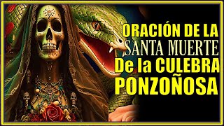 ¡¡¡SANTA MUERTE¡ 💀8Realiza esta ORACIÒN  de la vil culebra ponzoñosa El Precio de la Deslealtad [upl. by Fayina]