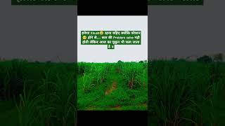 motivation bestpowerfulmotivationquotesinhindishort shorts subscribe motivational viral [upl. by Laynad]