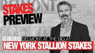 New York Stallion Stakes Previews  June 16 2024 [upl. by Moureaux22]