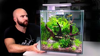 ALL IN ONE CUBE aquarium kit jungle style planted tank w ROCKET Killifish [upl. by Enerak43]