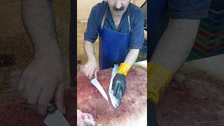 How To Remove Fish Trout Bones [upl. by Demmy]