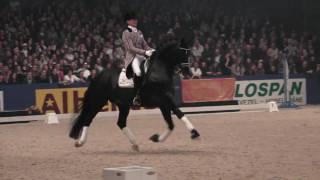 Totilas and Edward Gal  KWPN Hengstenkeuring 2010 Den Bosch HD 1080i [upl. by Llertnom237]