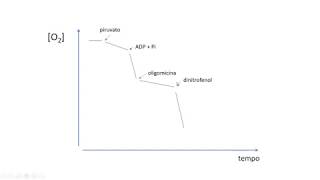 17 Fosforilação Oxidativa 4 Evidências Científicas [upl. by Weitman]