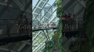 Singapore Gardens by the Bay （Cloud Forest） [upl. by Aldrich]