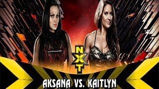 WWE 2K14 Aksana vs Kaitlyn [upl. by Ahsinik501]