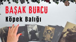 Köpek Balığı Gibi İnsanlar Etrafında Başak Burcu Haftalık [upl. by Matta]