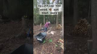 Splitting the wood 🪵 in the backyard woods woodsplitting splittingwood wood woodworking [upl. by Stesha544]