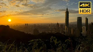 Climbing Elephant Mountain 🐘 for the View 🤩  Taipei Taiwan 🇹🇼 Short Version [upl. by Anayit155]