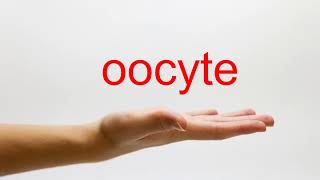 How to Pronounce oocyte  American English [upl. by Assirrem]