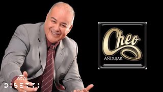 Cheo Andujar  Vamos A Darnos Tiempo Audio Oficial  Salsa Romántica [upl. by Queston161]