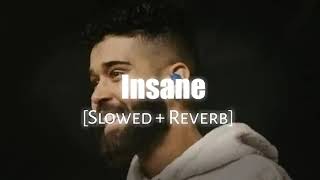 Insane  slowed reverb song  official video 🤟😱❣️ [upl. by Eeimaj376]