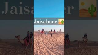 jaisalmerdesertdesertsafari goldencity rajasthantourism travelshorts munchNmap ❤️ [upl. by Sugirdor]