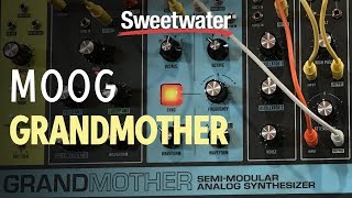 Moog Grandmother Quick Look by Sweetwater [upl. by Ashatan714]