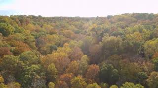 White Oaks Cabins Drone Footage  Taswell Indiana Near Patoka Lake [upl. by Galer364]