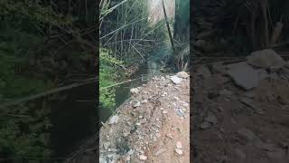 12ft Tall Retaining Wall Fail [upl. by Berners]