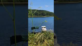 Vlasinsko jezero jul 2024 nature lake shorts relaxingmusic music relaxing travel [upl. by Llenyt]