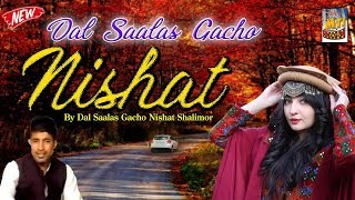 Newly Kashmiri Folk Song In 2015  Dal Saalas Gacho Nishat Shalimor  Lyrics Ameen [upl. by Ayahc]