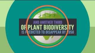 Humans NEED and EAT Biological Diversity [upl. by Garcia]