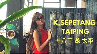 TRIP TO VISIT KUALA SEPETANG 十八丁 amp TAIPING 太平 │Travel Malaysia Guide [upl. by Ecilahs]