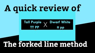 shorts  Dihybrid Cross in pea using forked line method in Genetics  branch line [upl. by Aneras84]