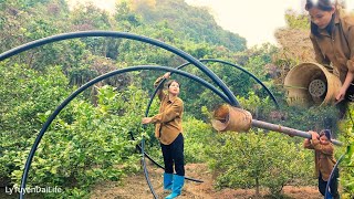 Find clean water from nature and bring it back to the orchard Lý Tuyền DaiLy Life [upl. by Larkin]