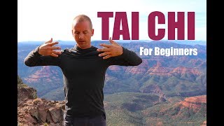 7 Tai Chi Moves for Beginners  15 Minute Daily Taiji Routine [upl. by Supen]