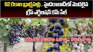 Grapes Exhibitioncumsale starts in Hyderabad  Rajendranagar  Samayam Telugu [upl. by Maren752]