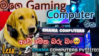 මං දැන් gaming lexa බං🤭❤️ [upl. by Amadas]