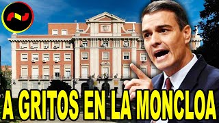 Pedro Sánchez A GRITOS en la Moncloa por el Informe de la Guardia Civil [upl. by Sontag362]