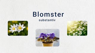 Tema Blomster A2 Substantiv levitator substantiv norsk norskkurs norwegian blomster sommer [upl. by Kermie]