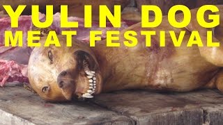 The Dark Secrets of Yulin Dog Meat Festival Exposed Undercover Footage [upl. by Ruperto]