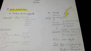 Esquema fácil Sistema Venoso de Miembros inferiores MMII [upl. by Davidoff928]