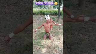 Nagin ka pyar aur launda dar Gaya viralvideo comedy shortvideo RR comedy1 😂👍 viralmoment [upl. by Aphra]