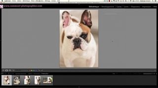 Comment Photographier  Faire ses Presets Lightroom [upl. by Bound22]