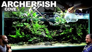 AMAZING 4ft Archerfish  Paludarium  Aquaterrarium  Aquarium EPIC BUILD [upl. by Ellennej597]